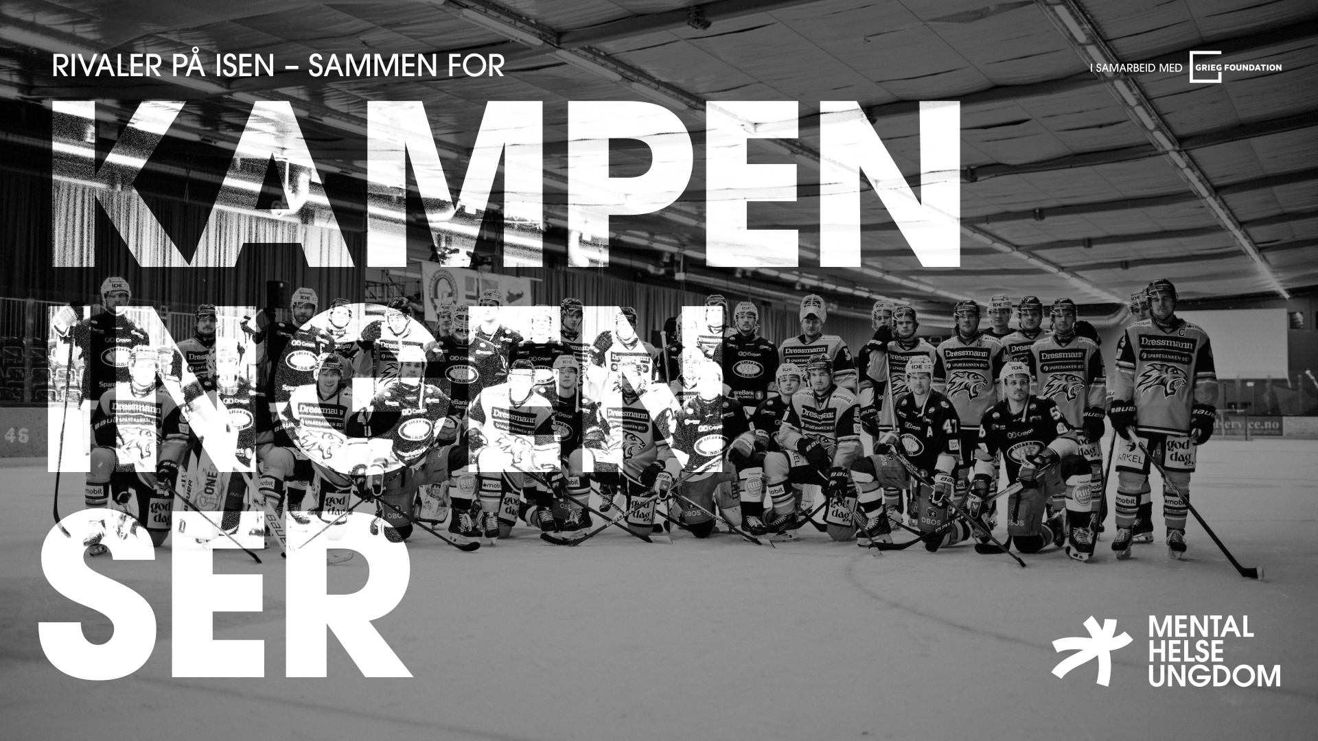 Kampen ingen ser