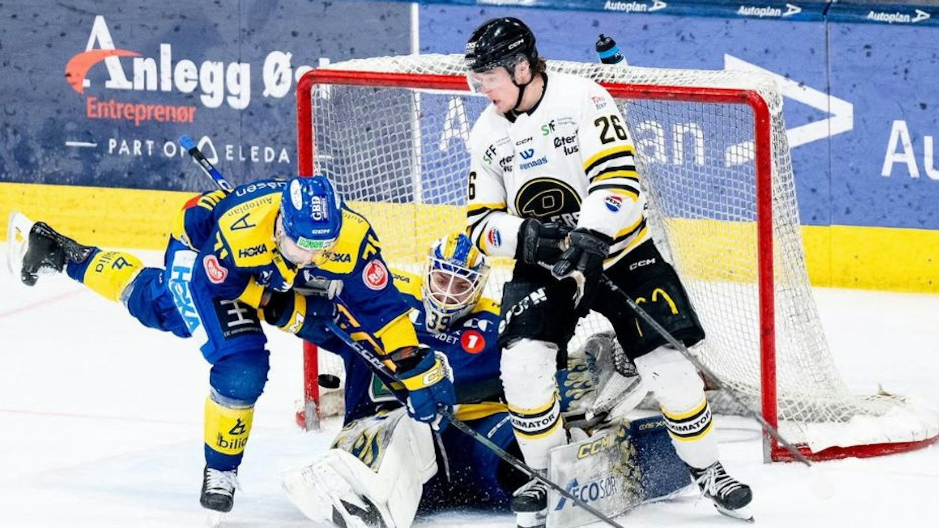 Storhamar hvit